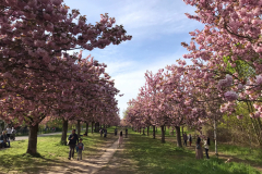 IMG-20230505-WA00051