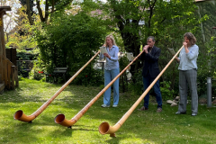 Alphorn1